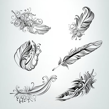 Set of feathers in an ornament