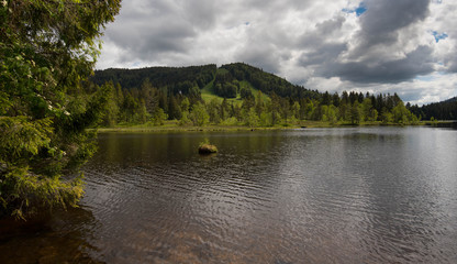 Moorsee Lac de Lispach in den Vogesen
