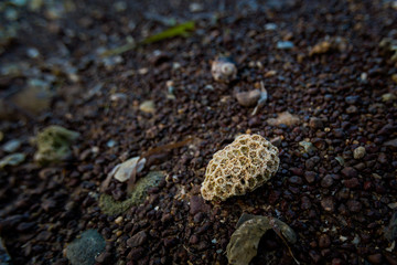 Mot island on Phu Quoc