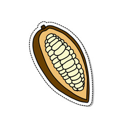 cacao fruit doodle icon, vector illustration