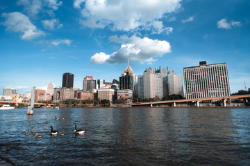 Pittsburgh, PA Skyline at Sunset in the summer