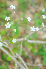 Natur Stimmung im Abendlicht
