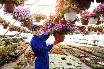 Young happy man gardener florist is smiling and holding a pot with petunias flowers in a greenhouse.