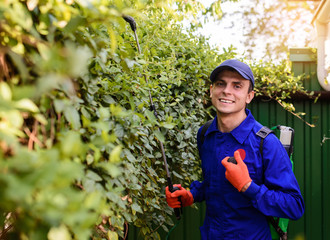 gardener in blue overalls and protective gloves is spraying herbicide, fungicide,insecticide on a bush leaves