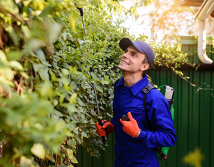 gardener in blue overalls and protective gloves is spraying herbicide, fungicide,insecticide on a...