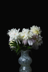 Naklejka na ściany i meble White vase with white peonies on a black background.
