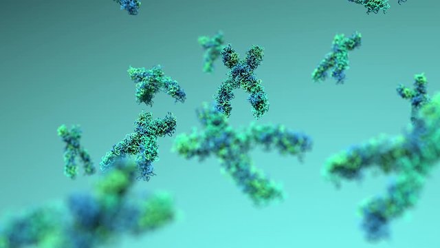 Chromosomes,  X chromosomes in the cell in motion 4k