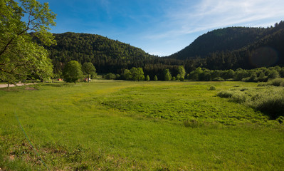 Fototapeta premium Lac de Retournemer in den Vogesen