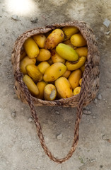 Dates Sweet Fruit Ramadan Kareem Food, Natural ripen in garden nutrition source