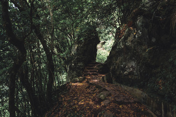 The Levada walk from Ribeiro Frio to Portela. Madeira, September 2018.
