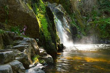 Fototapeta premium Wasserfall und Schlucht 