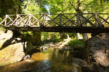 Fototapeta premium Wasserfall und Schlucht 