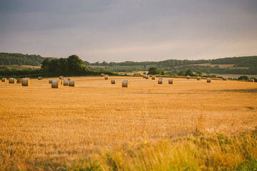 Obraz premium Bales of hay outside in the field in Burgundy. Golden hay bales in French countryside. harvested field with bales of straw in France. Grinds straw in a field after the wheat harvest in France