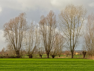 Flemish countryside in winter. Ghent, Belgium