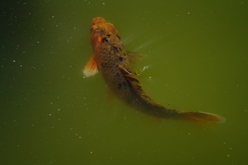 Quinta de Pesca do Marqês de Pombal