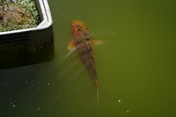 Quinta de Pesca do Marqês de Pombal