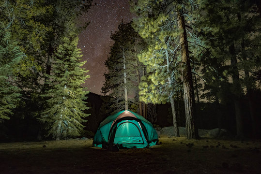 Nighttime Campsite in the Pine Forest