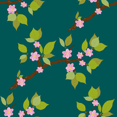 seamless pattern of cherry blossoms on a turquoise background