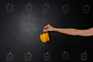 Yellow bell pepper in the hand. Bright chalk drawing on black chalkboard