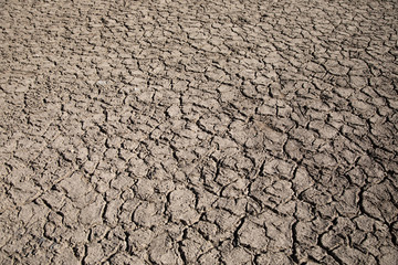 Land with dry cracked ground
