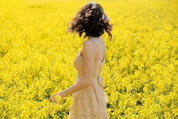 Naklejka na ściany i meble Back view of a pretty young girl in dress in field with yellow flowers on sunny summer day.