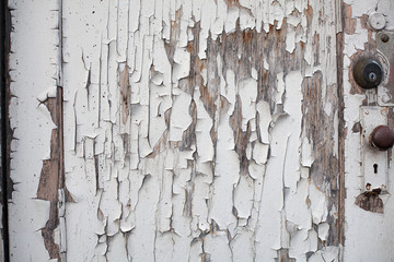 Old Wood Door PAint Chip Texture