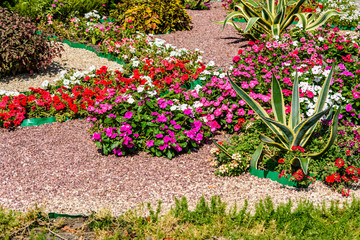 Different flowers on flowerbed in a city park
