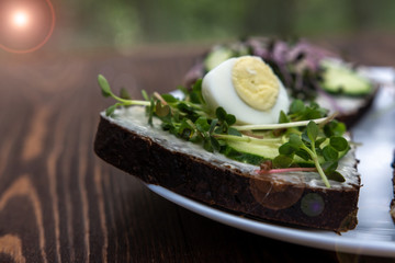 sandwiches with microgreens, cucumber and quail eggs on a white plate. kind of sunlight. Healthy diet. Feed option. young sprouts of radish and red cabbage. horizontal photography