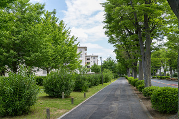 春日部市にある団地の風景　埼玉県春日部市　日本
