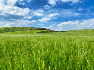 Obraz na płótnie Canvas Landschaft Landwirtschaft