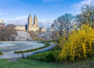 Central Park in spring