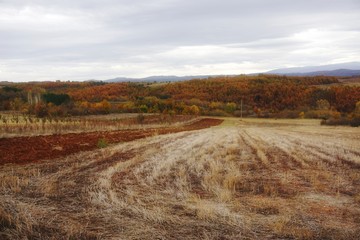 Obraz premium autumn landscape in the mountains