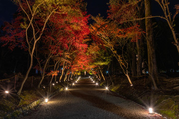 Obraz premium diago ji