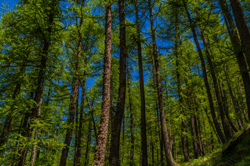 Rocca la Meja, la perla della Valle Maira in Provincia di Cuneo 
