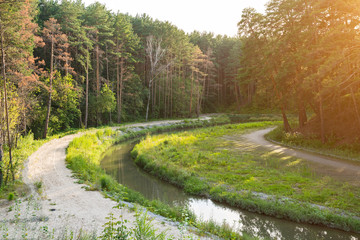 landscape of a small river with reeds in summer