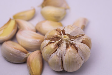 garlic