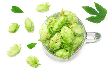 Glass with hop cones isolated on white background. Beer brewery concept. Beer background. top view