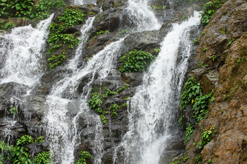 High waterfall in the rainforest on the island of Mindoro in Philippines
