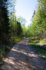 Sentier de véhicule tout terrain en forêt au Québec.