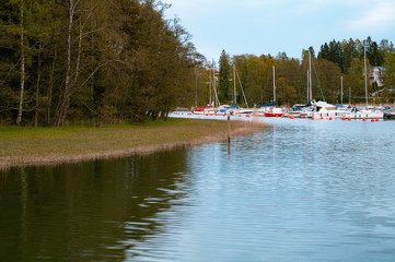 Boats docked at the harbor surrounded by shoreline filled with trees in their natural state.