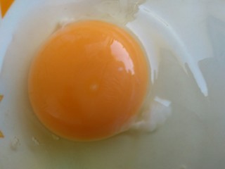 egg yolk