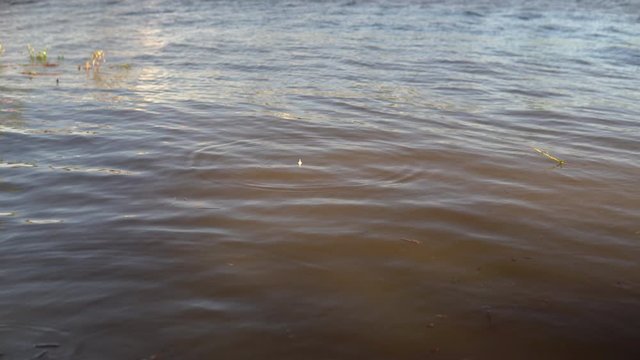 A float is thrown into dirty water