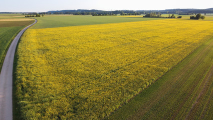 View from above over agricultural fields and a field path near Bergheim