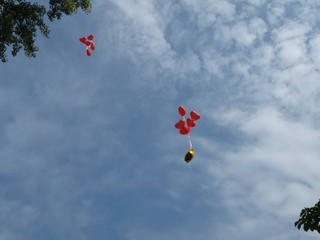 Balloons fly away into the blue sky