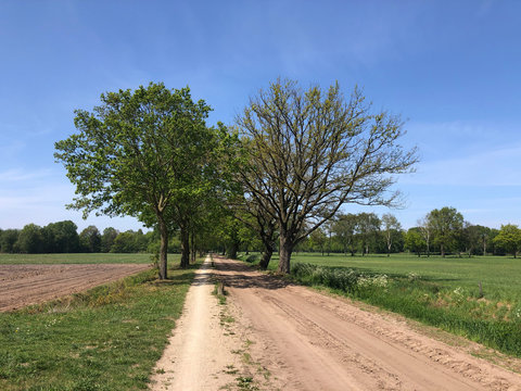 Bicycle path towards Beckum