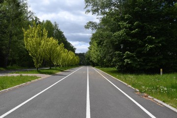 droga rowerowa w parku