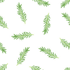 rosemary branches seamless vector pattern on white