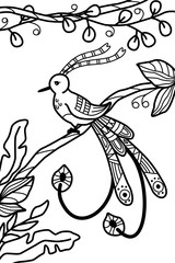 Coloring page with bird of paradise sitting on branch in jungle. Vector illustration. Antistress, meditation for kids and adults