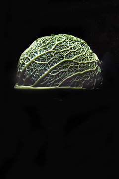 Savoy Cabbage On A Dark Background Close-up. Leaf, Agriculture.