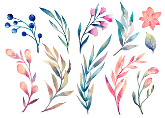 Watercolor illustration. Spring foliage. Botanical collection of multicolored leaves, branches, flowers and herbs. Perfect for wedding invitations, greeting cards, posters, prints, packing